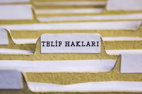 Telif ve Lisans Hakkının Devri